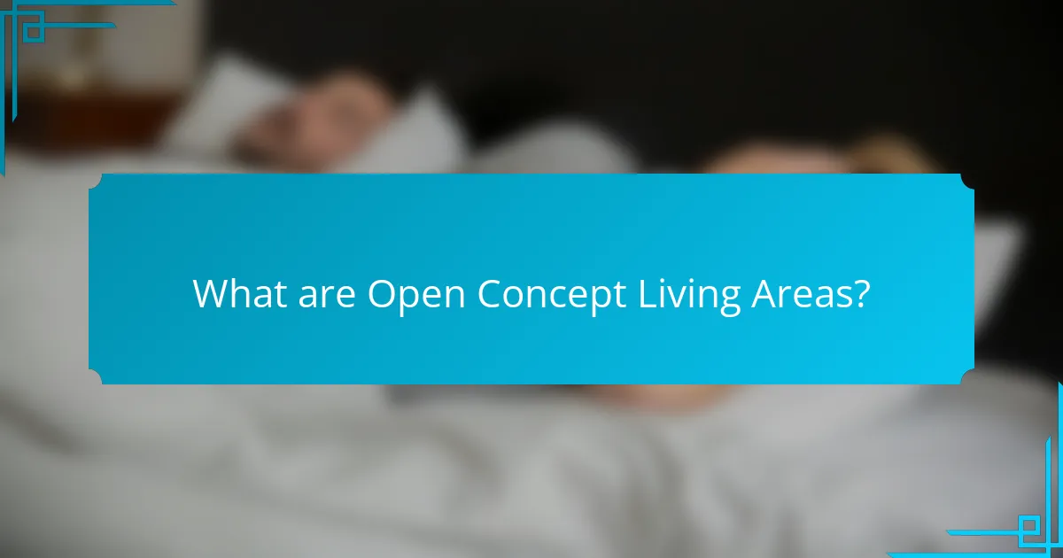 What are Open Concept Living Areas?